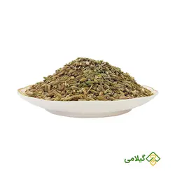 رازیانه گیلامی  (Gilamie Fennel Seeds)
