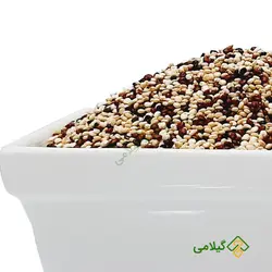 کینوا رنگی گیلامی (Gilamie Chenopodiom Quinoa)