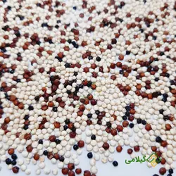 کینوا رنگی گیلامی (Gilamie Chenopodiom Quinoa)