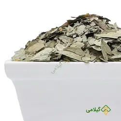برگ سنا مکی گیلامی (Gilamie Senna)