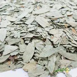 برگ سنا مکی گیلامی (Gilamie Senna)