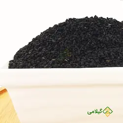 سیاهدانه گیلامی (Gilamie Nigella Sativa)