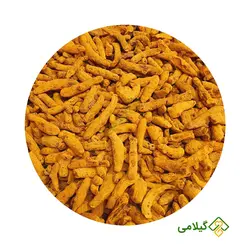 زردچوبه گیلامی ( Gilamie Curcuma Longa )