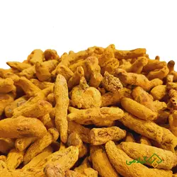 زردچوبه گیلامی ( Gilamie Curcuma Longa )