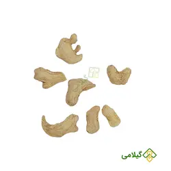 زنجبیل گیلامی (Gilamie Ginger)