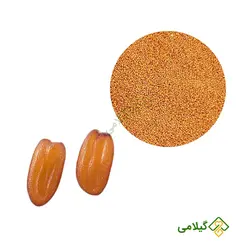 خاکشیر گیلامی ( Gilamie Flixweed )