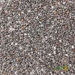 دانه چیا گیلامی ( Gilamie Chia Seeds )