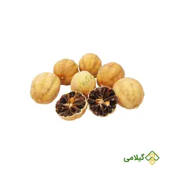 لیمو عمانی گیلامی (Gilamie Lemon )