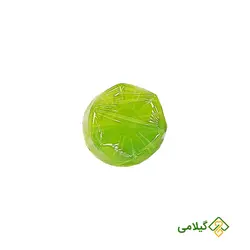 صابون آلوئه ورا ارگانیک گژگین ( Gajgin Aloevera Soap )