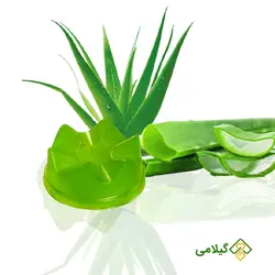 صابون آلوئه ورا ارگانیک گژگین ( Gajgin Aloevera Soap )