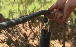 سه راه قطره چکان سایز 16 (سه راه دریپر)