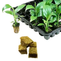 پشم سنگ هیدروپونیک قالب 5 در 5 سانت (Rock wool)