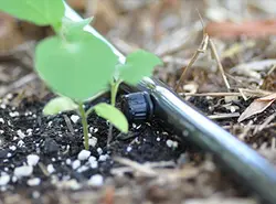 قطره چکان تنظیم شونده (۱۰ عدد)