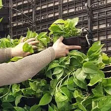 گلدان دیوار سبز (24 عدد)