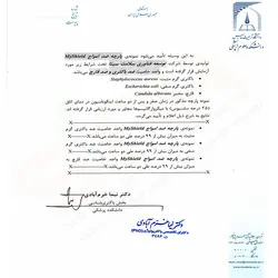 ماسک آنتی وایرال مای شیلد 2 لایه نقره سوپر پروتکشن(سایز بزرگسال، نوجوان، کودک)