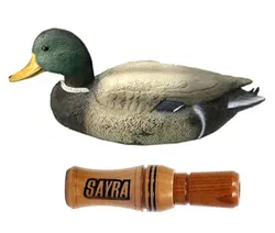 صدای مرغابی SAYRA