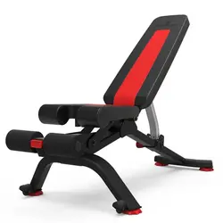 نیمکت مدرج بدنسازی بوفلکس مدل BowFlex 5.1S