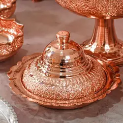 ظرف تنقلات درب دار