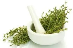 آویشن کوهی نگین طبیعت