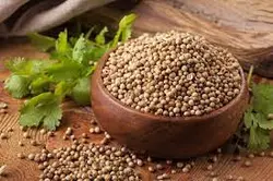 تخم گیشنیز نگین طبیعت
