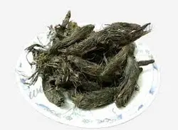 سنبل الطیب نگین طبیعت