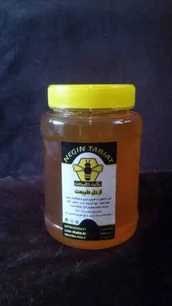 عسل چهل گیاه نگین طبیعت