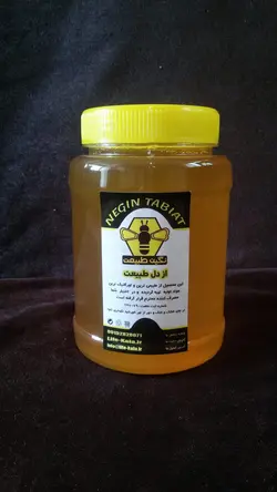 عسل گز انگبین کوهرنگ نگین طبیعت