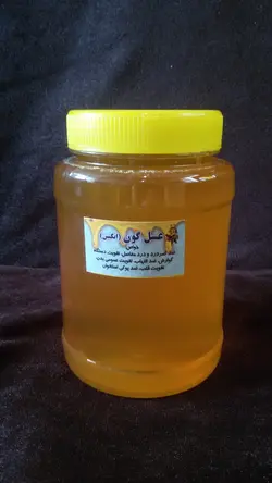 عسل گز انگبین کوهرنگ نگین طبیعت
