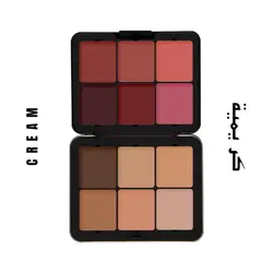 پالت کانتور و رژگونه چرب فیوچر میکاپ FUTURE MAKEUP palette
