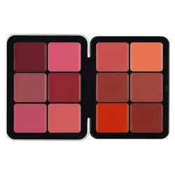 پالت کانتور و رژگونه چرب فیوچر میکاپ FUTURE MAKEUP palette