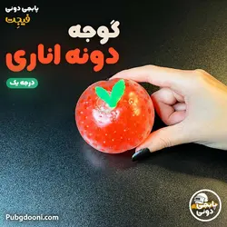 فیجت ضد استرس و سرگرم کننده گوجه دونه اناری درجه یک