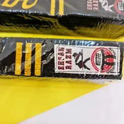 کمربند رزمی دان