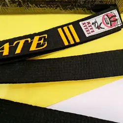 کمربند رزمی دان