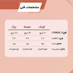 چمدان اکولاک ژاپن - مدل فورزا سبز