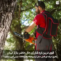 اره شارژی حرفه ای 45 سانتی تایگر Tiger