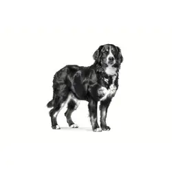 غذای خشک سگ بالغ نژاد بزرگ 14 کیلوگرم Royal Canin Consult Large Dog