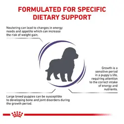 غذای خشک سگ عقیم شده بالغ رویال کنین 4 کیلوگرم Royal Canin Junior Large Dog