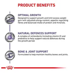 غذای خشک سگ عقیم شده بالغ رویال کنین 4 کیلوگرم Royal Canin Junior Large Dog