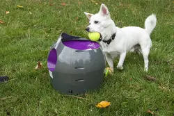دستگاه پرتاب توپ اتوماتیک ضد آب برای سرگرمی سگ مارک PET SAFE