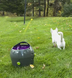 دستگاه پرتاب توپ اتوماتیک ضد آب برای سرگرمی سگ مارک PET SAFE