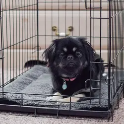 زیرانداز گرمکن مخصوص حیوانات خانگی مارک K&H Pet Products