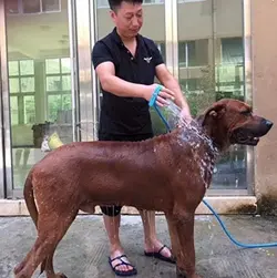 کیت شست و شو حیوانات خانگی Pet bathing tool