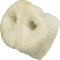 تشویقی سگ دماغ خوک خشک شده تریکسی Trixie pig snout