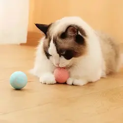 اسباب بازی حیوانات توپ هوشمند (pet gravity smart rotating ball)