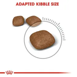 غذای رویال کنین یورینری کر (urinary care) ۲kg