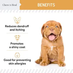 قرص تشویقی مکمل امگا گربه و سگ Chew + Heal Omega Skin + Coat Dog Supplement