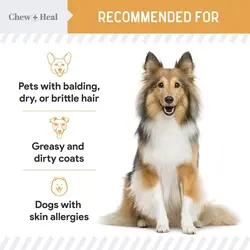 قرص تشویقی مکمل امگا گربه و سگ Chew + Heal Omega Skin + Coat Dog Supplement