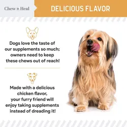 قرص تشویقی مکمل امگا گربه و سگ Chew + Heal Omega Skin + Coat Dog Supplement