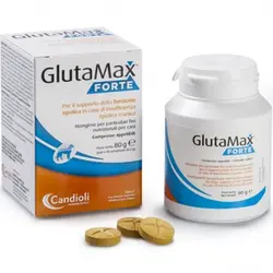 مکمل درمان کبد گربه و سگ کندیولی گلوتامکس فورته candioli glutamax forte