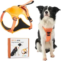 قلاده تنی همراه با بند جمع شونده سگ ها Dog Harness & Retractable Dog Leash All in One, Retractable Hands Free